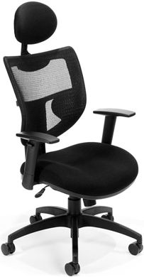 Picture of Parker Ridge Series Executive Mesh Chair with Headrest