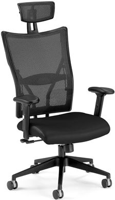 Picture of Talisto Series Executive High-Back Leather & Mesh Chair