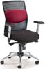 Picture of AirFlo Series Executive Task Chair with Silver Accents