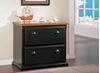 Picture of Hardwood Two Drawer Lateral File Storage