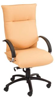 Picture of High Back Office Task Conference Chair with Chrome Loop Arms