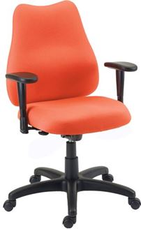 Picture of Managerial Mid Back Office Task Swivel Arm Chair