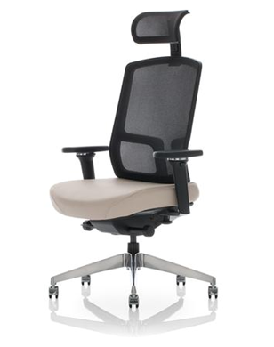 Picture of High Back Headrest Ergonomic Mesh Office Task Chair