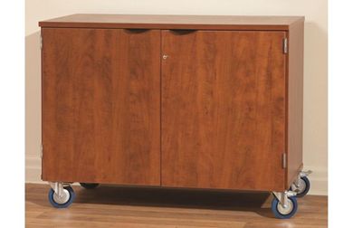 Picture of Heavy Duty Healthcare Mobile Storage Cabinet
