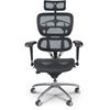 Picture of Ergonomic Executive Office Chair