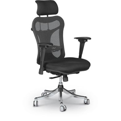 Picture of High Back Ergonomic Mesh Chair with Adjustable Headrest