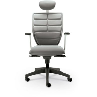 Picture of Executive Chairs