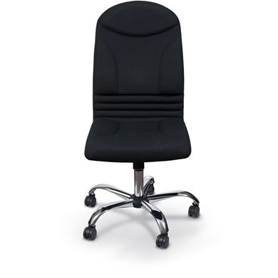 Picture of Ergonomic Big And Tall Chair