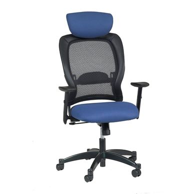 Picture of Executive Ergonomic Mesh Task Chair with Headrest