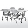 Picture of Plastic Folding Chairs (4-Pack)