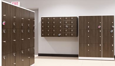 Picture of Room Set of Floor-Standing and Wall-Mounted Lockers